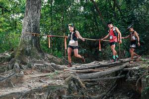 BIB: 
                            <button type="button" onclick="openModal(27803057)" class="btn btn-primary btn-sm float-right btn-popup" data-toggle="modal" data-target=".modal-high-quality">
                        <i class="fas fa-shopping-cart"></i> Add to Cart
                    </button>
                                            <button type="button" onclick="isThisMe(27803057, true)" class="btn btn-success btn-sm float-right btn-popup btn-isme hidden" data-toggle="tooltip" data-placement="bottom" title="นี่คือรูปของคุณใช่ไหม คลิกที่นี่เพื่อเอาเข้าอัลบั้ม">
                        <i class="fas fa-plus"></i> Add to album
                    </button>
                    <button type="button" onclick="isThisMe(27803057, false)" class="btn btn-warning btn-sm float-right btn-popup btn-isnotme hidden">
                        <i class="fas fa-ban"></i> Remove from album
                    </button>